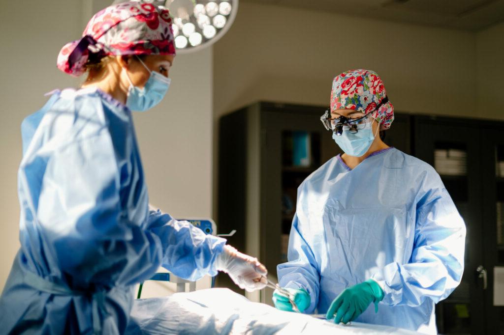 Plastic Surgery Experts During An Operation